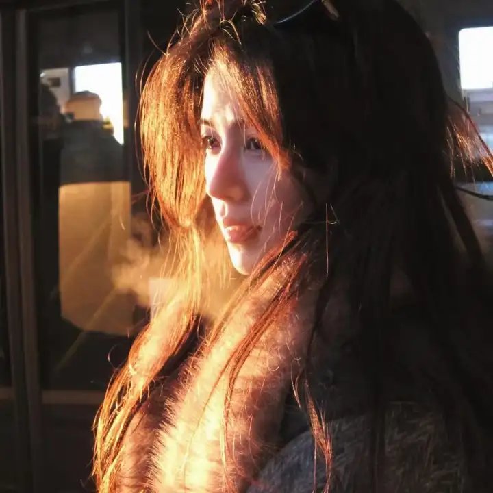 蔡李佛拳